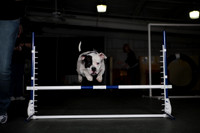 Agility February 2014