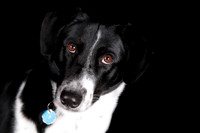 Lucy