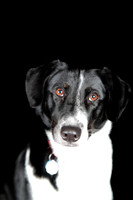 Lucy