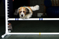 Agility April 2011