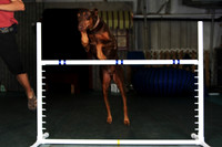 Agility April 2011