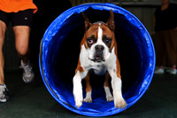 Agility April 2011