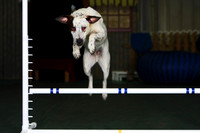 Agility April 2011