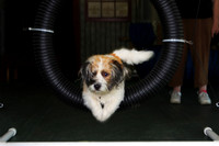 Agility April 2011