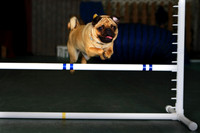 Agility April 2011