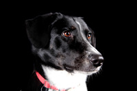 Lucy