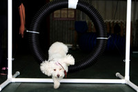 Agility April 2011