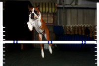 Agility April 2011