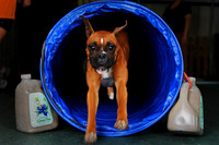 Agility April 2011
