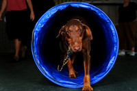 Agility April 2011