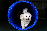 Agility April 2011
