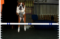 Agility April 2011