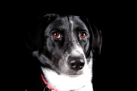 Lucy