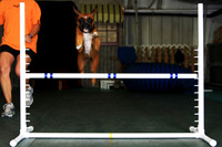 Agility April 2011