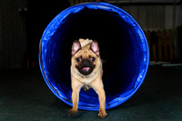Agility April 2011