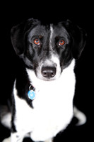 Lucy