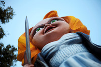 Krewe of Boo