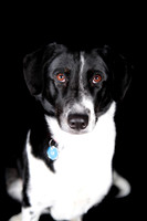 Lucy