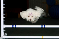 Agility April 2011
